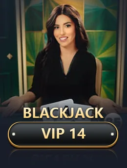 Blackjack Vip 14 cover